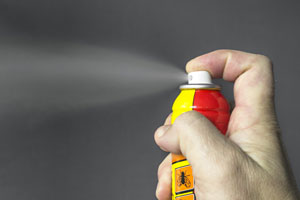 DIY pest control can be dangerous, especially sprays. Learn more from Vermont Pest Control