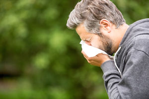 Pests can cause allergies in Vermont - Vermont Pest Control