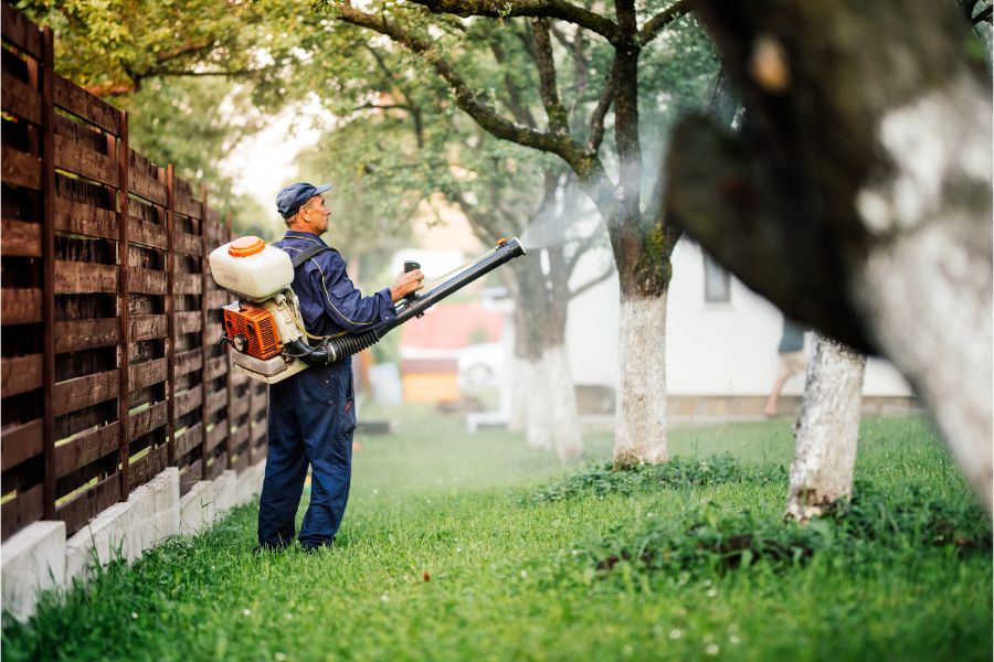 How to prevent Mosquitoes in your yard in Middletown Springs, VT - Vermont Pest Control